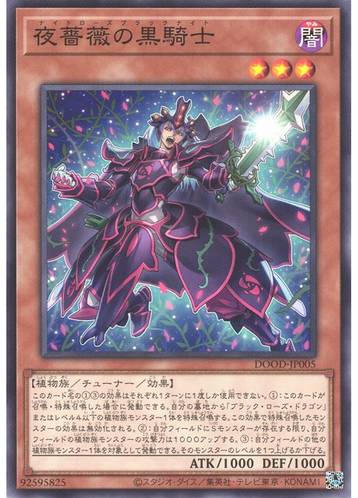 夜薔薇の黒騎士