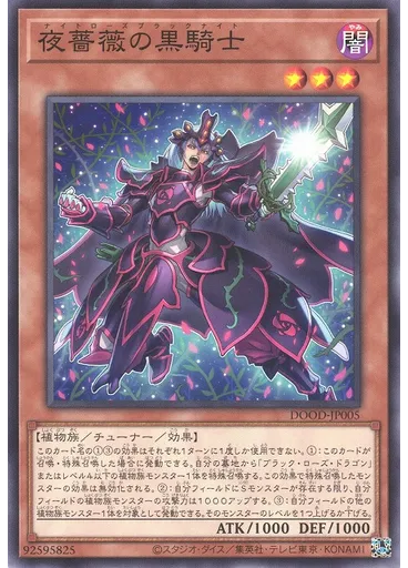 夜薔薇の黒騎士