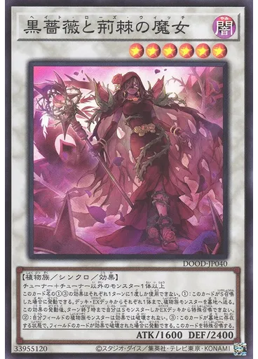 黒薔薇と荊棘の魔女