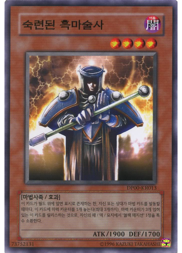 숙련된 흑마술사