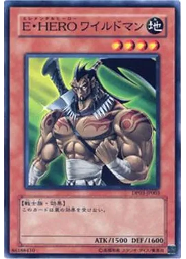 Ｅ・ＨＥＲＯ ワイルドマン