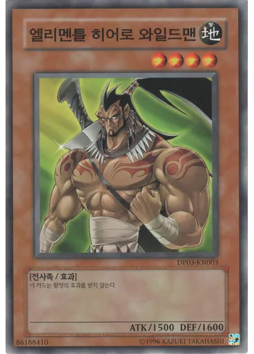 엘리멘틀 히어로 와일드맨