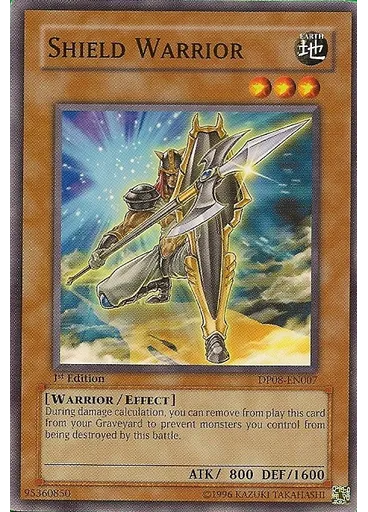 Shield Warrior
