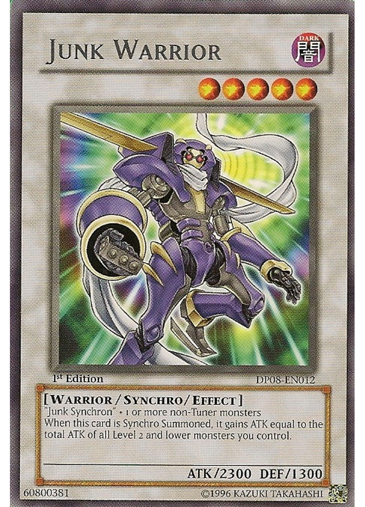 Junk Warrior