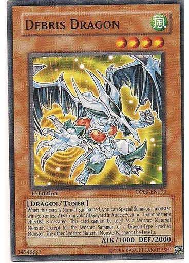 Debris Dragon