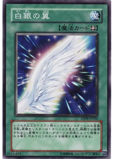 白銀の翼