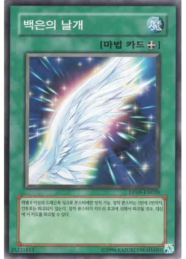 백은의 날개