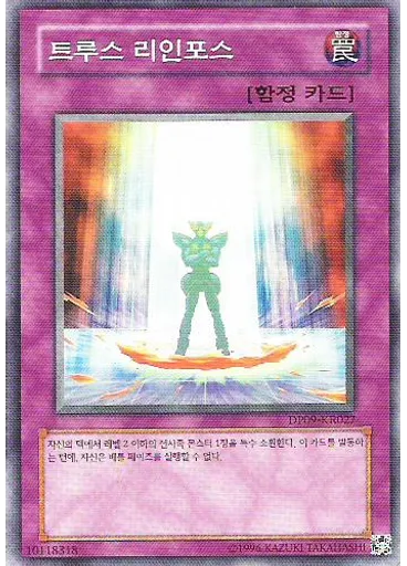 트루스 리인포스