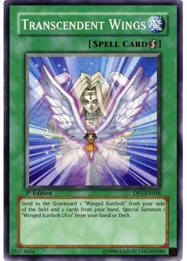 Transcendent Wings