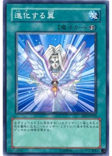 進化する翼