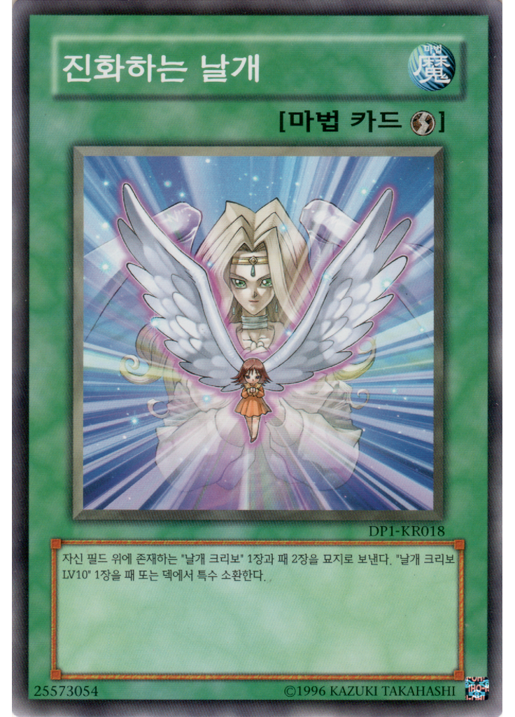 진화하는 날개