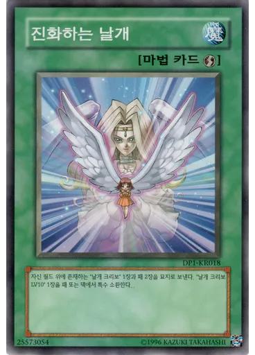 진화하는 날개