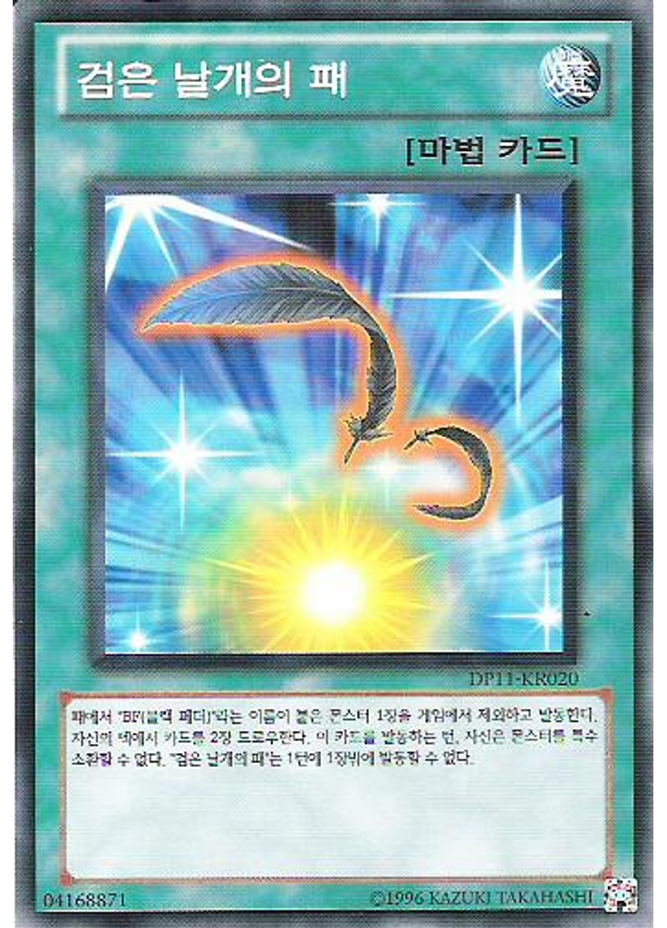 검은 날개의 패