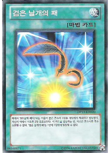 검은 날개의 패