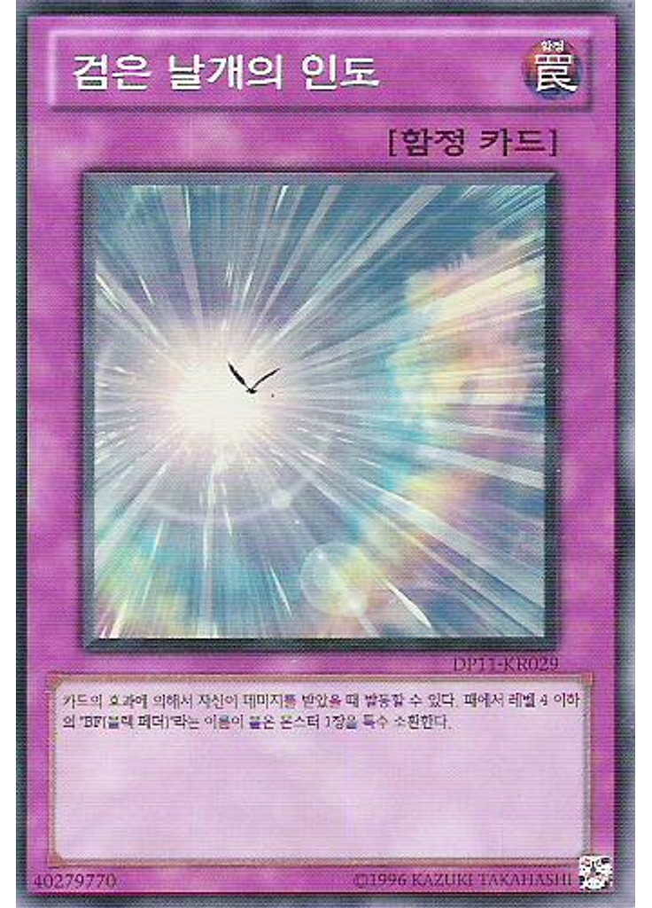 검은 날개의 인도