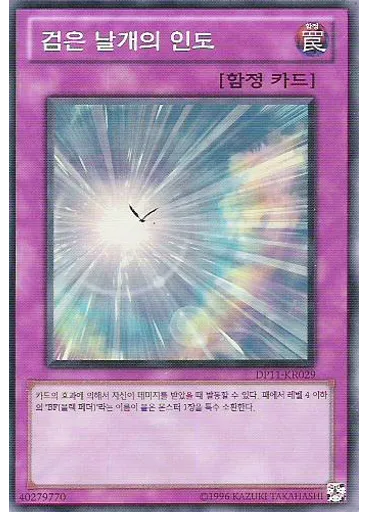 검은 날개의 인도