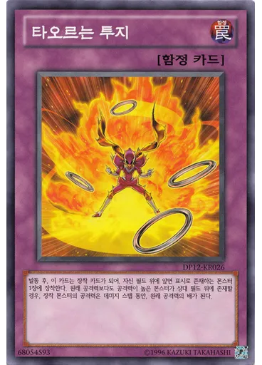 타오르는 투지