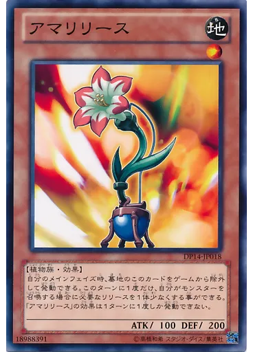 アマリリース