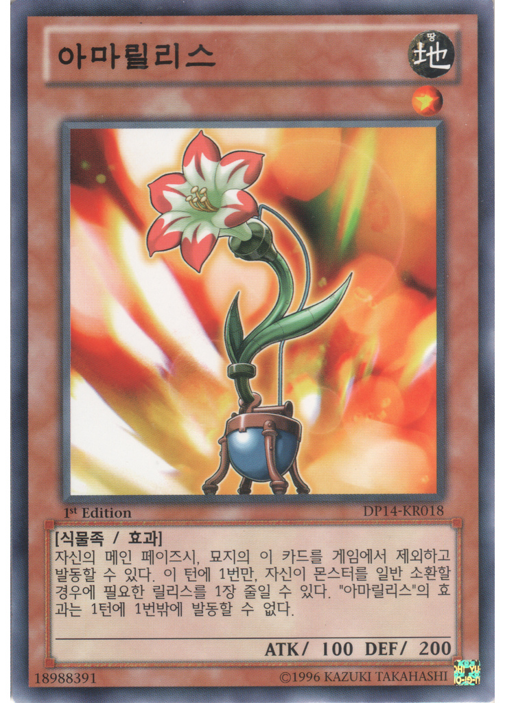 아마릴리스