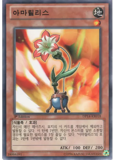 아마릴리스