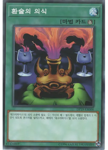 환술의 의식