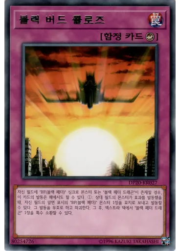 블랙 버드 클로즈