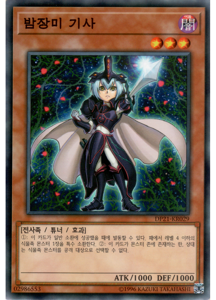 밤장미 기사