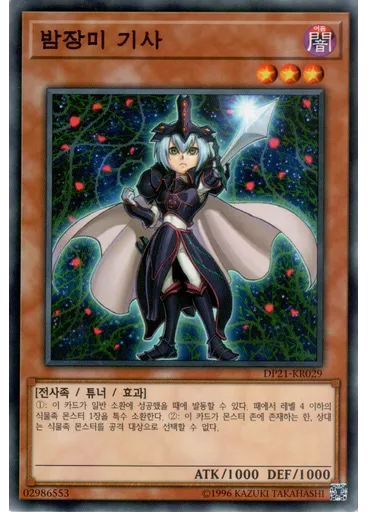 밤장미 기사