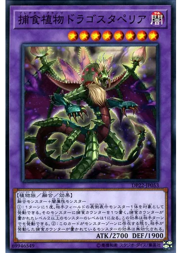 捕食植物ドラゴスタペリア
