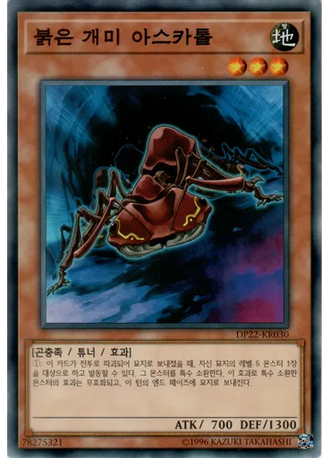붉은 개미 아스카톨