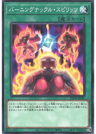 バーニングナックル・スピリッツ