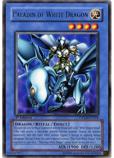 Paladin of White Dragon
