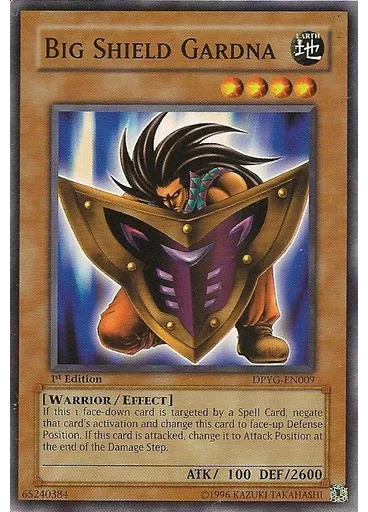 Big Shield Gardna