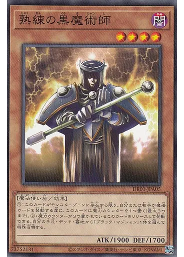 熟練の黒魔術師