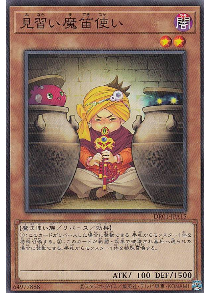 見習い魔笛使い