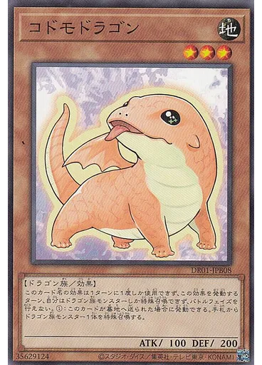 コドモドラゴン