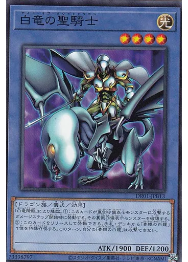 白竜の聖騎士