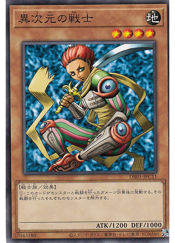 異次元の戦士