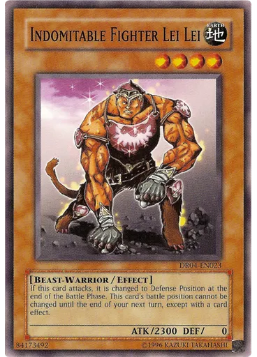 Indomitable Fighter Lei Lei