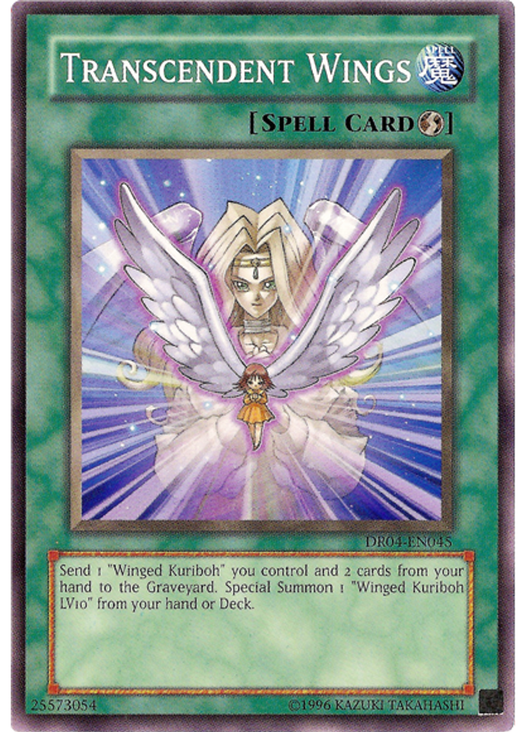 Transcendent Wings