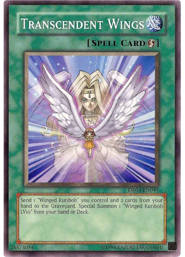 Transcendent Wings