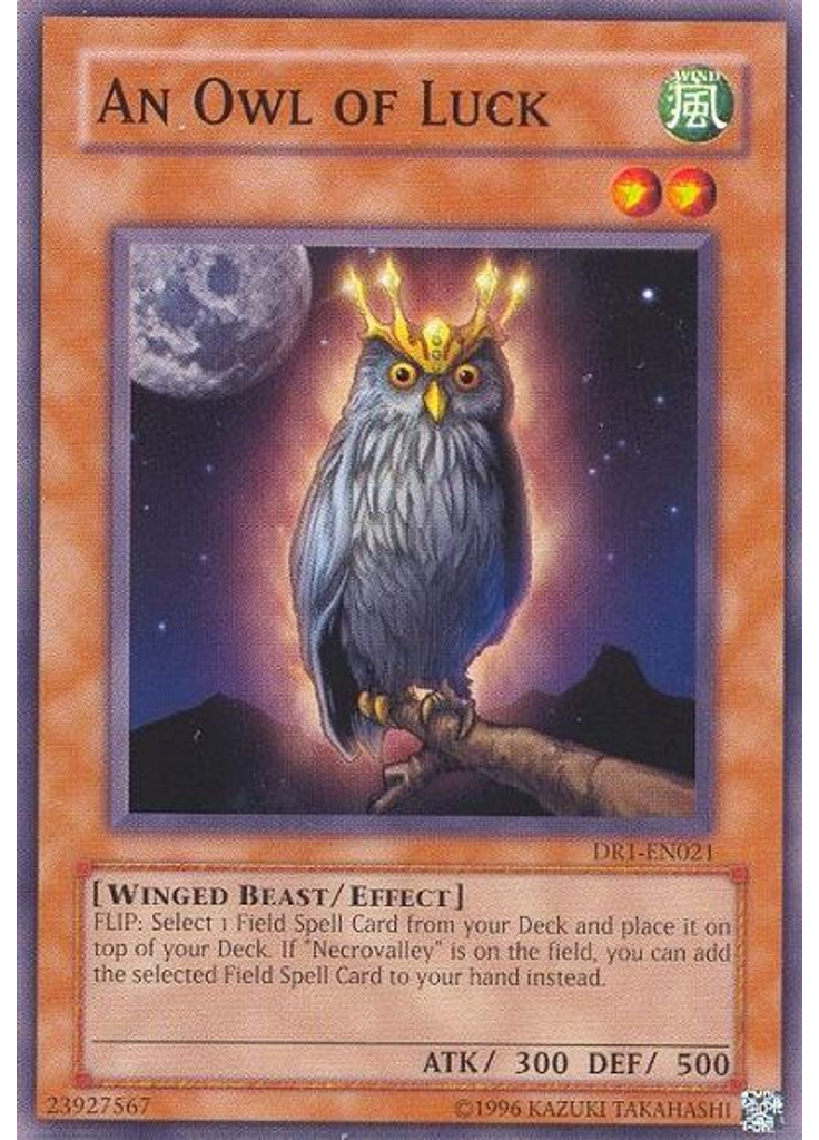 An Owl of Luck