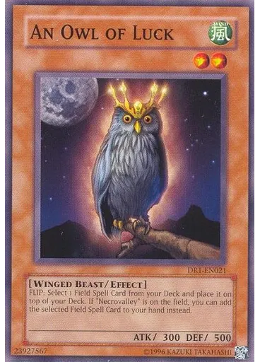 An Owl of Luck