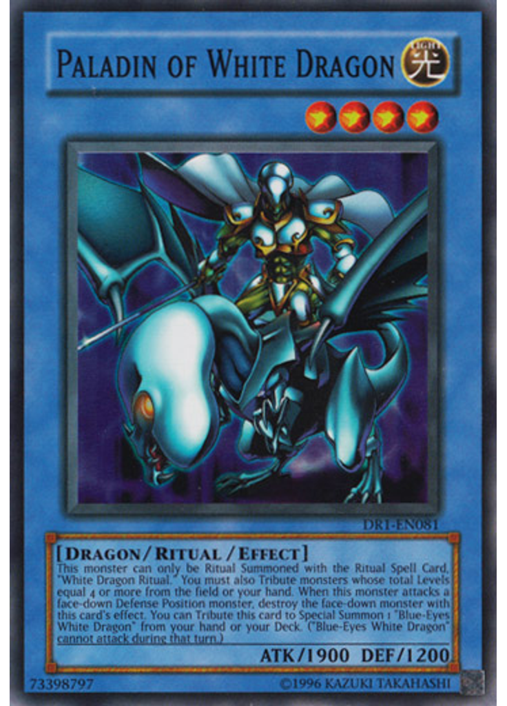 Paladin of White Dragon
