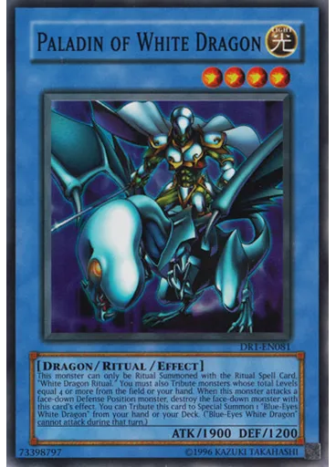 Paladin of White Dragon