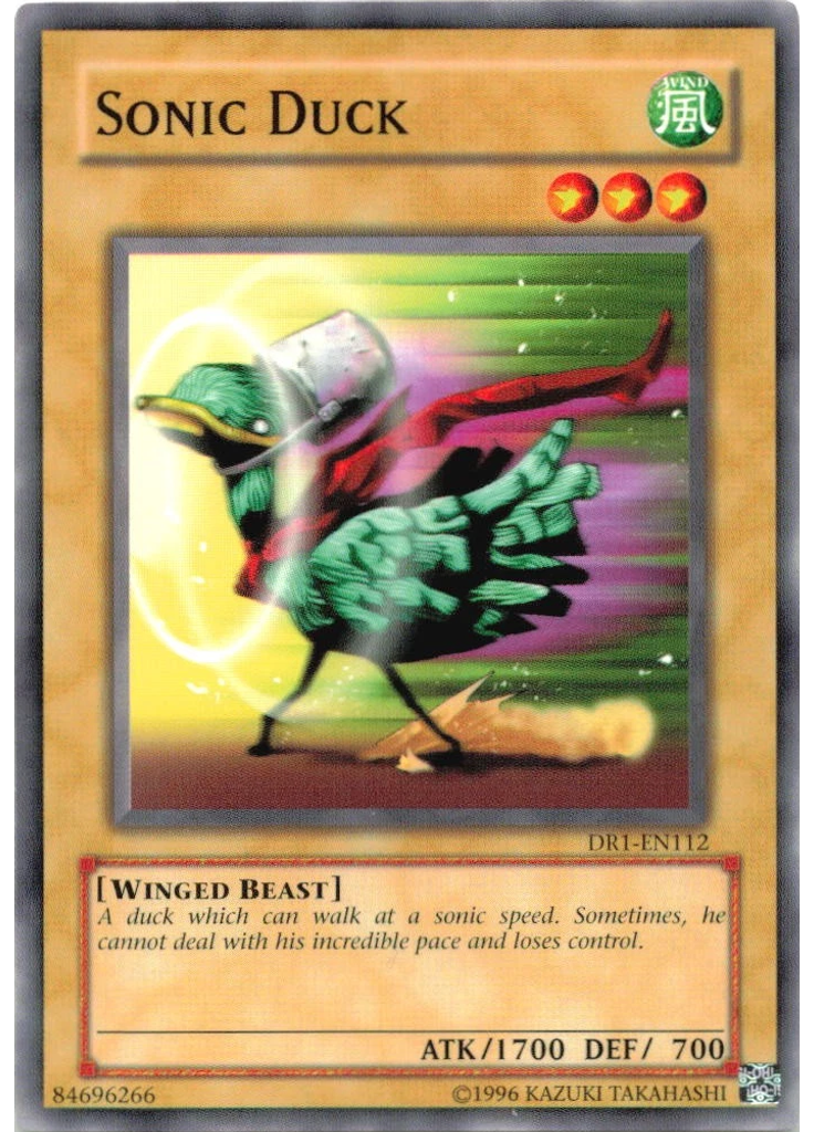 Sonic Duck