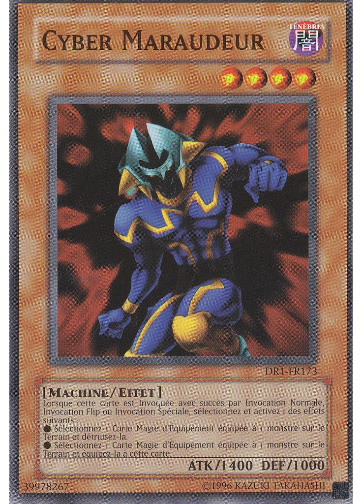 Cyber Maraudeur