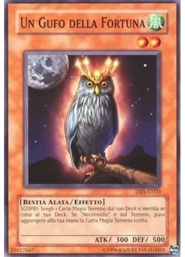 Un Gufo della Fortuna