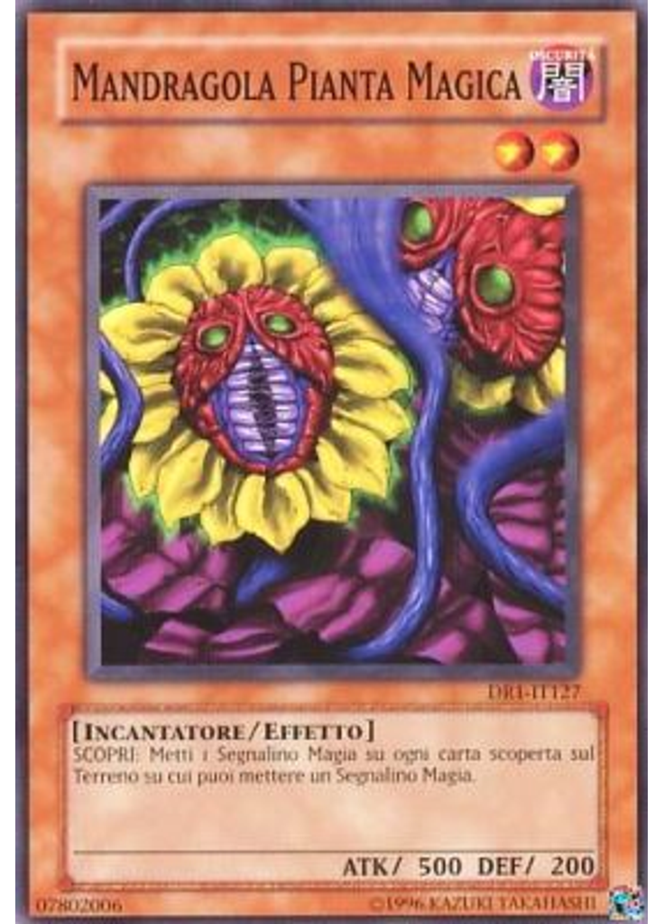 Mandragola Pianta Magica