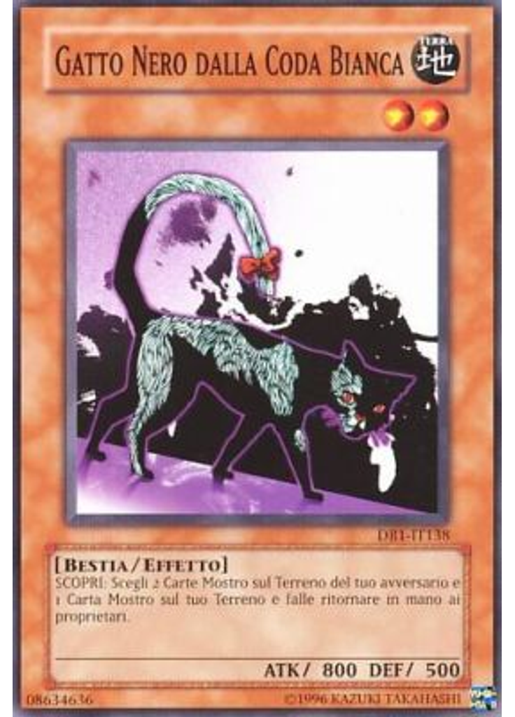 Gatto Nero dalla Coda Bianca